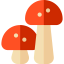 Mushroom ícono 64x64
