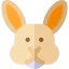 Rabbit icône 64x64
