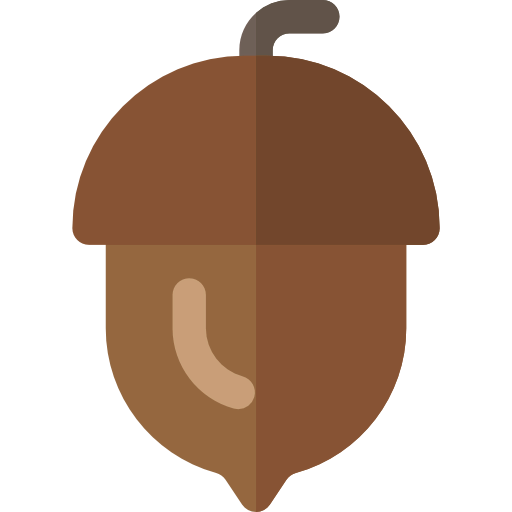 Acorn 상