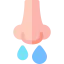 Runny nose icon 64x64