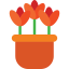 Tulip icon 64x64