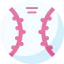 Baseball ícono 64x64