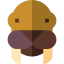 Walrus icon 64x64