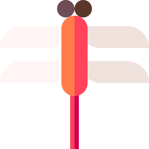 Dragonfly icon