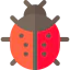 Ladybug icon 64x64