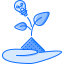 Sprout icon 64x64