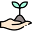 Sprout icon 64x64