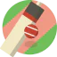 Cricket biểu tượng 64x64