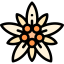 Edelweiss icon 64x64