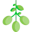 Olive icon 64x64