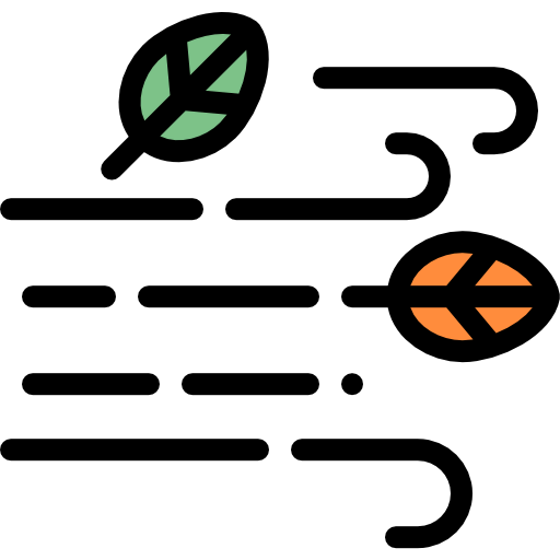 Wind icon