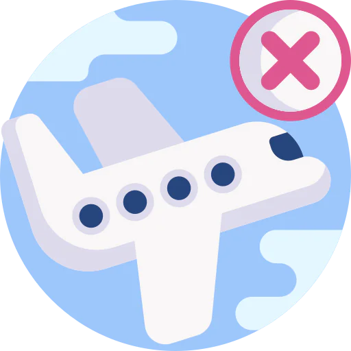 No flight icône