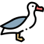 Albatross ícone 64x64