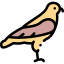 Hawk іконка 64x64