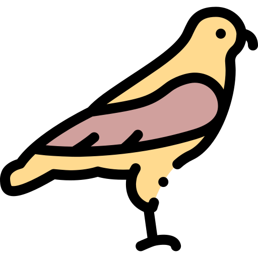 Hawk icon