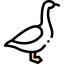 Goose іконка 64x64