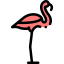 Flamingo 图标 64x64
