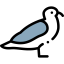 Gull іконка 64x64