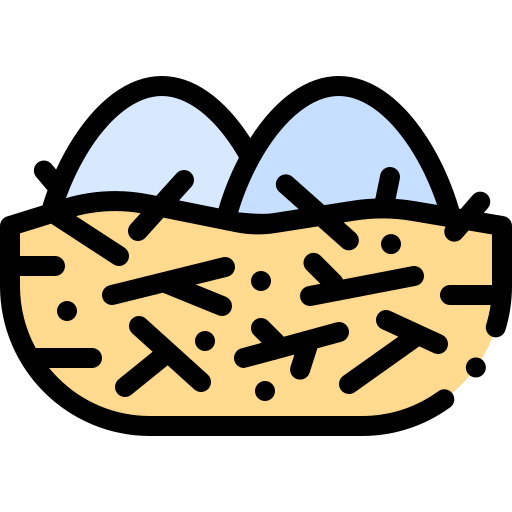 Nest アイコン