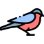 Bullfinch іконка 64x64