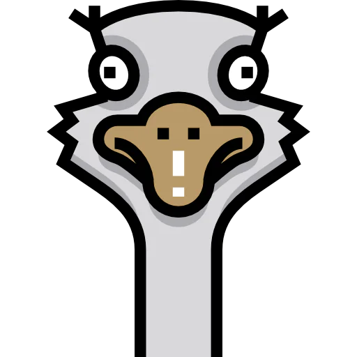 Ostrich Ikona