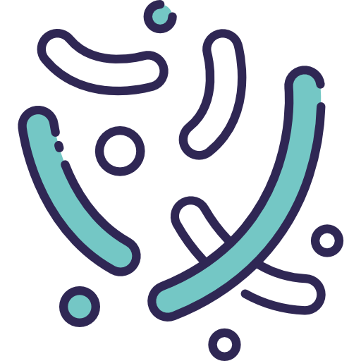 Coccus icon