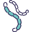 Bacillus icône 64x64