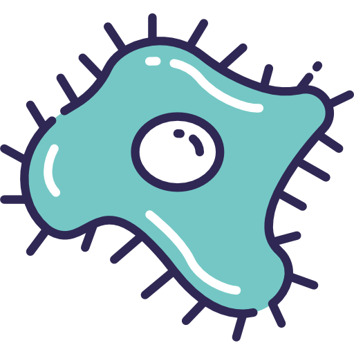 Coccus icon