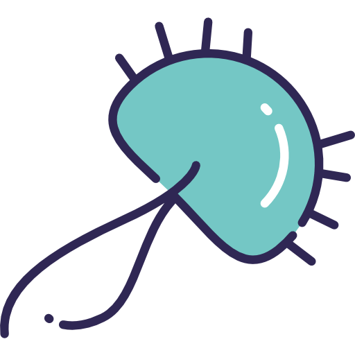Staphylococcus icon