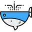 Whale icon 64x64