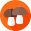 Mushrooms icon 64x64