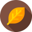 Leaf icon 64x64
