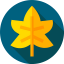 Maple leaf icon 64x64