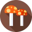 Mushrooms icon 64x64