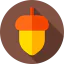 Acorn icon 64x64