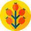 Berries icon 64x64