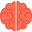 Brain アイコン 64x64