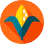 Corn icon 64x64