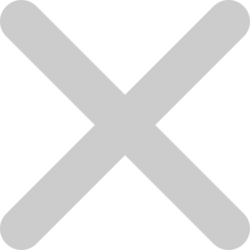X button 图标