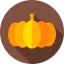 Pumpkin icon 64x64