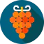 Grapes icon 64x64