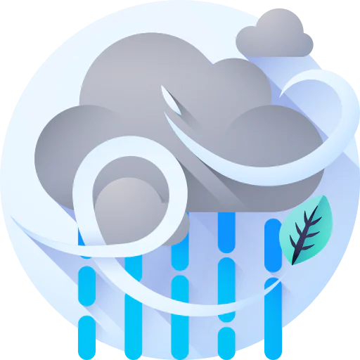 Windy icon