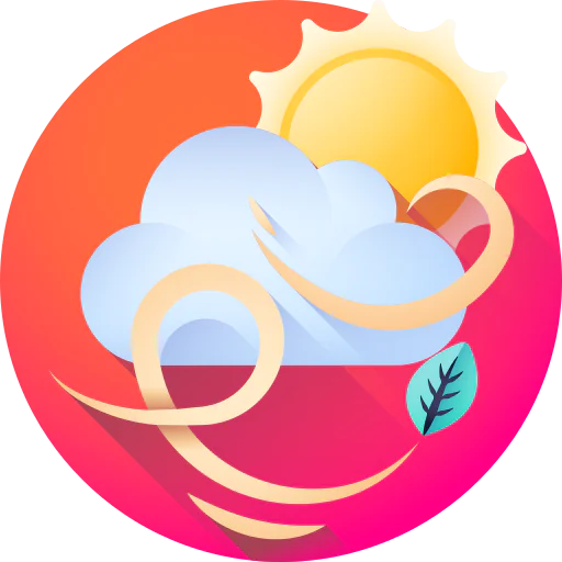 Windy icon