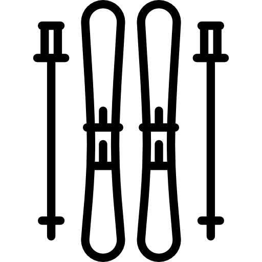 Ski icon
