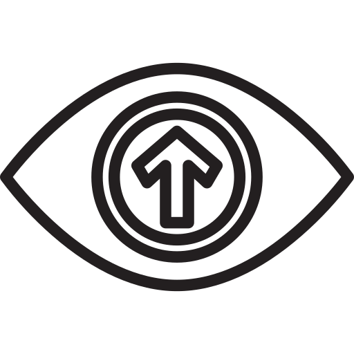 Vision icon