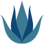 Aloe vera Symbol 64x64