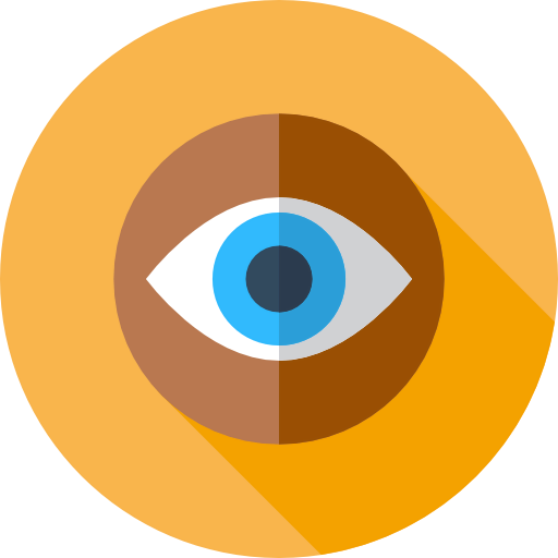 Visibility icon