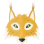 Coyote icon 64x64