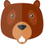 Beaver icon 64x64