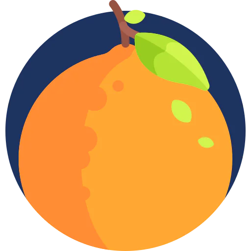 Orange icon